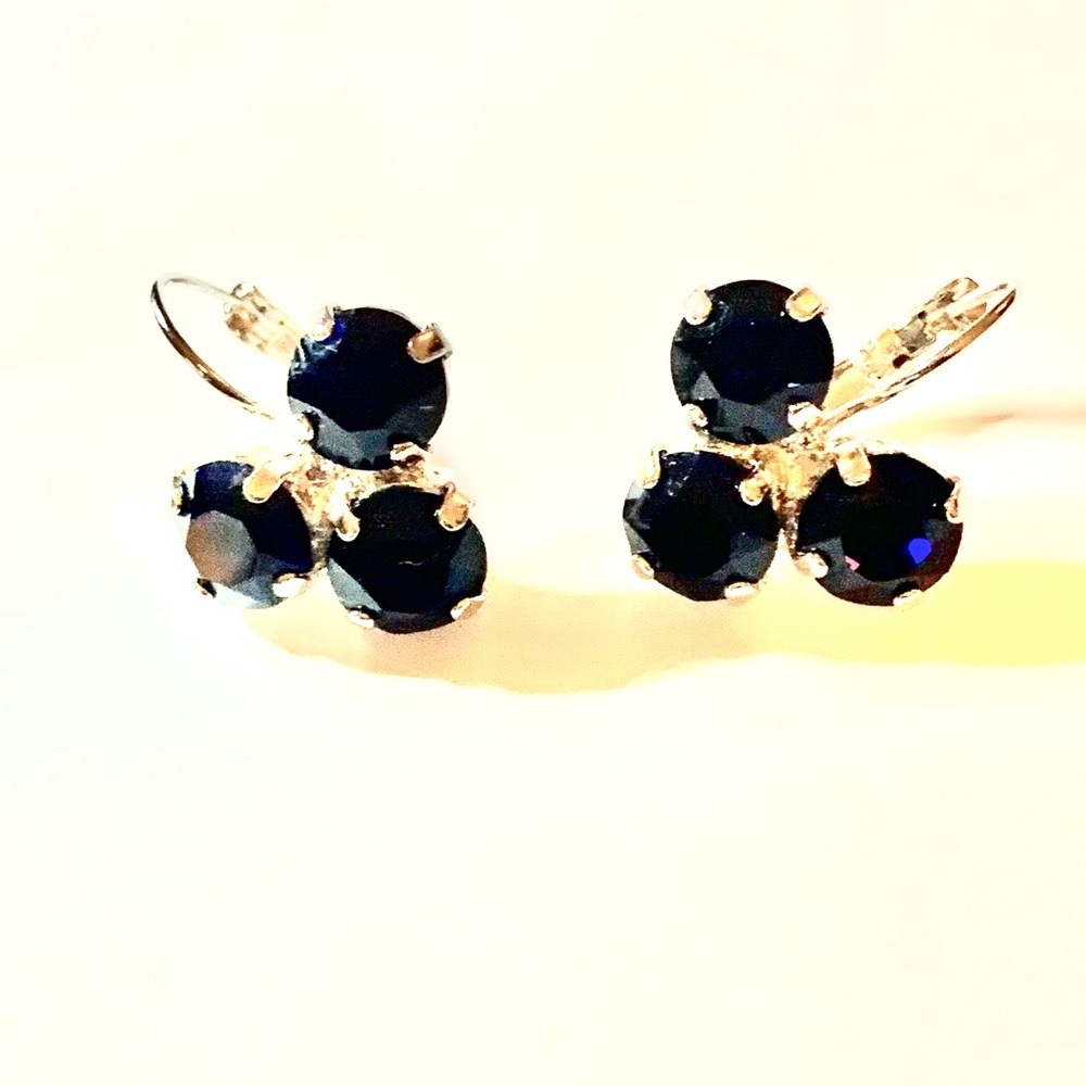 Dark Indigo Earrings